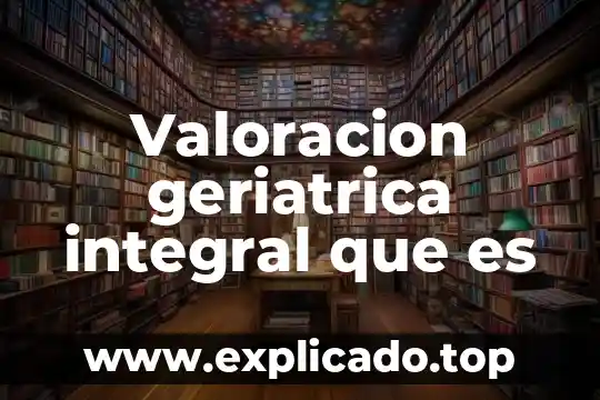 Valoracion geriatrica integral que es
