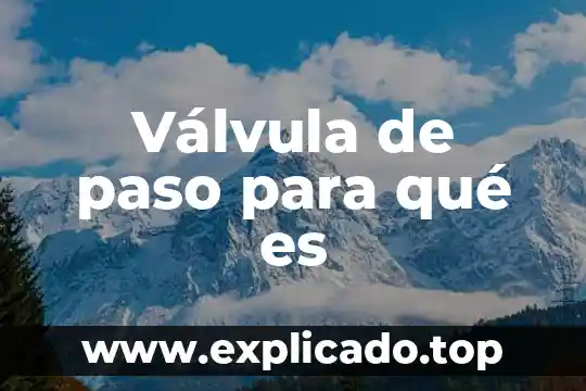 Ado que es un viaje de paso 7 Válvula de paso para qué es
