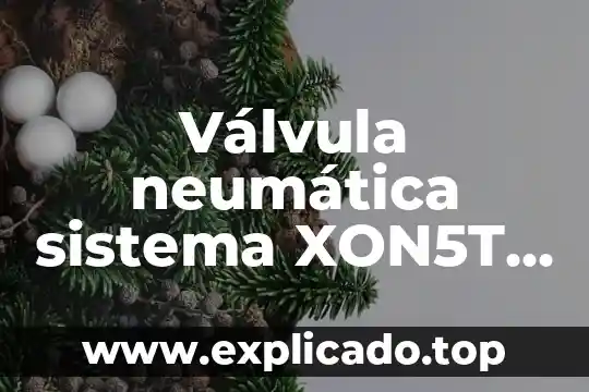 Qué es una válvula neumática en electrónica y tipos 4 Válvula neumática sistema XON5T incendio para qué es