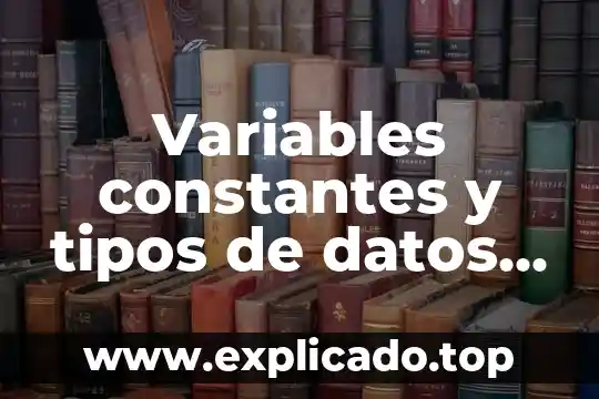 Variables constantes y tipos de datos que es