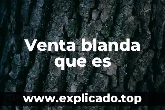 Que es el departamento de venta en una constructora 6 Venta blanda que es