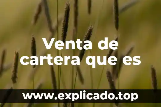 Cartera de credito y cobranza que es 6 Venta de cartera que es