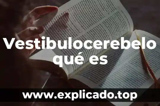 Visitas conyugales que es 7 Vestibulocerebelo qué es
