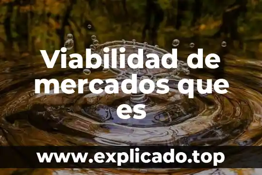 Viabilidad de mercados que es