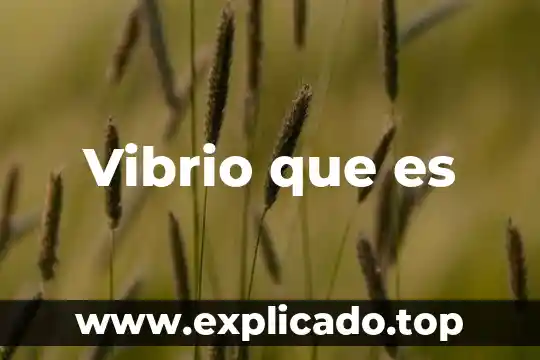 Amazao por qué es exitosa 6 Vibrio que es