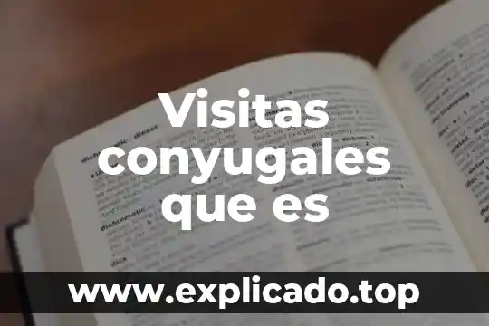 Visitas conyugales que es