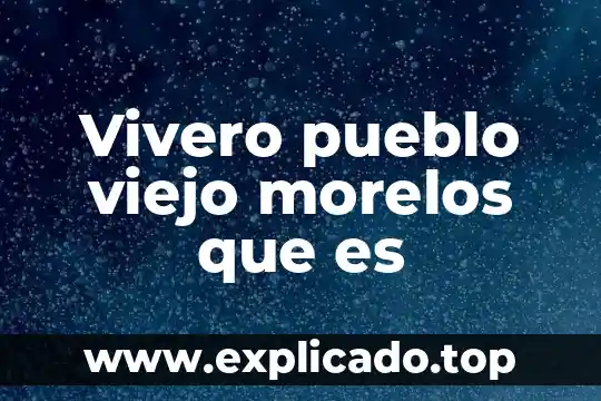 Por qué es importante la Campana de Morelos 4 Vivero pueblo viejo morelos que es