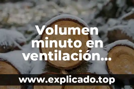 Qué es rampa en ventilación mecánica 7 Volumen minuto en ventilación mecánica que es