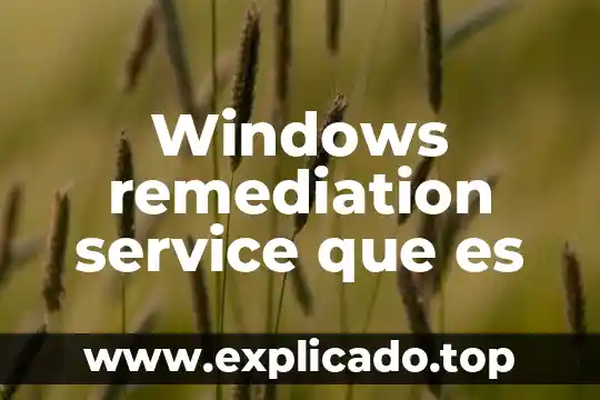 Adm fuel service que es 5 Windows remediation service que es