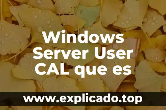 Windows Server User CAL que es