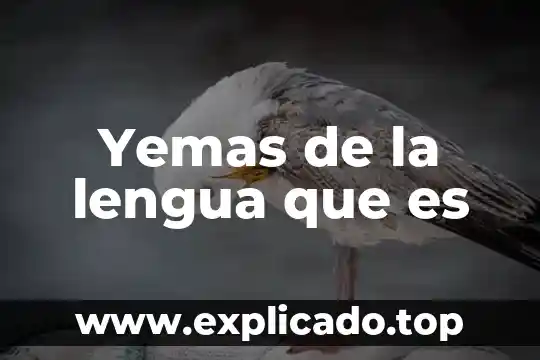 Qué es un bacterias saludable 4 Yemas de la lengua que es