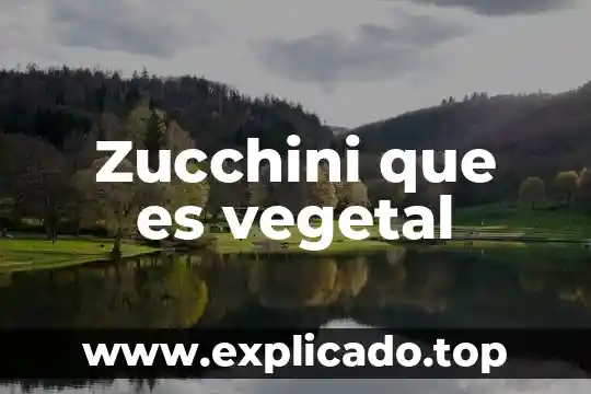 Que es la celulosa vegetal 7 Zucchini que es vegetal